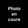 lien vers la description de la pierre et photographie
